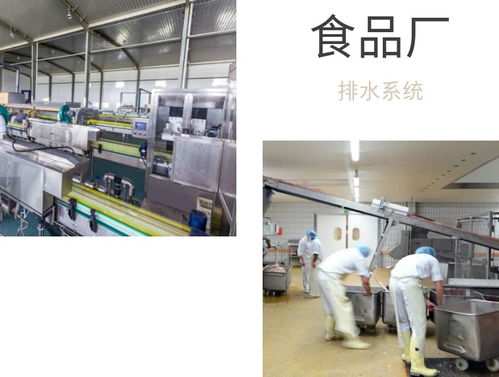 食品厂车间排水布局设计与地漏选择建议