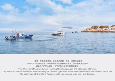 宁波得邦设计 一站式品牌全案策划与设计的专业伙伴